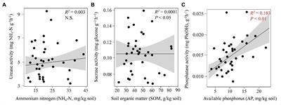 Seasonal Changes in Pinus tabuliformis Root-Associated Fungal Microbiota Drive N and P Cycling in Terrestrial Ecosystem